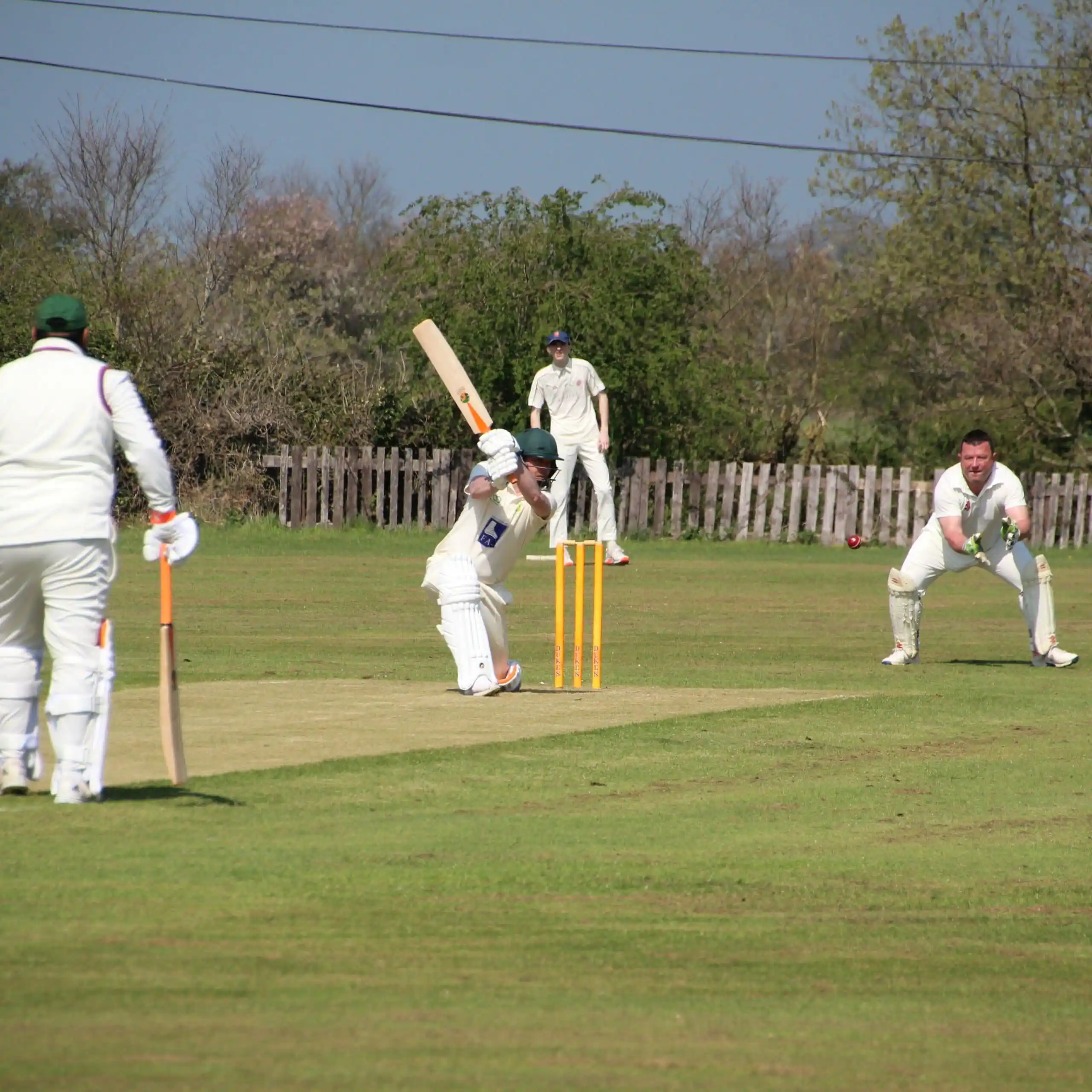 Our cheap cricket bat in action