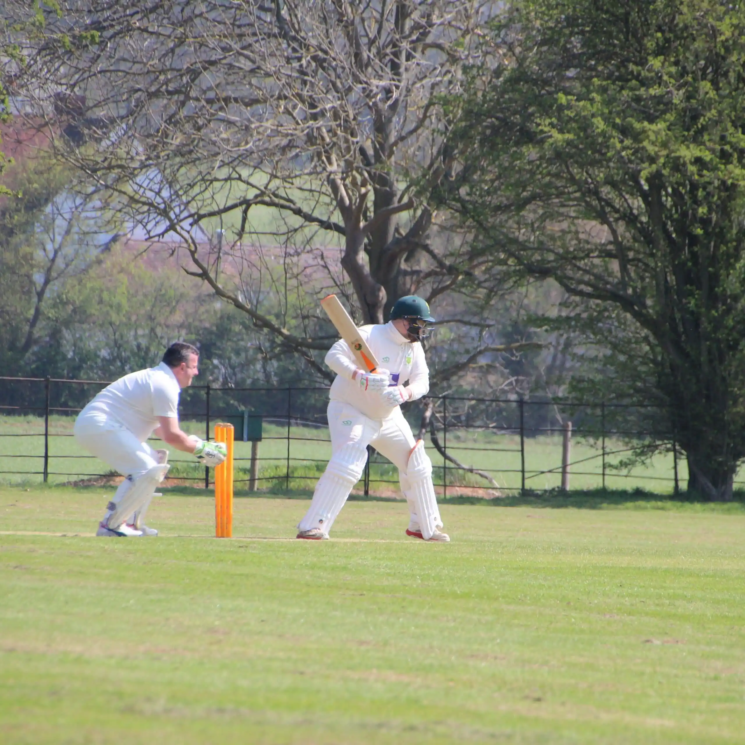 Our cheap long handle cricket bat in action